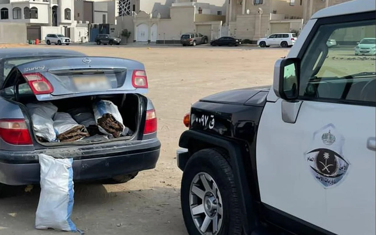دوريات الأمن تطيح بـ"22" مخالفاً بحوزتهم كمية من الحطب المحلي