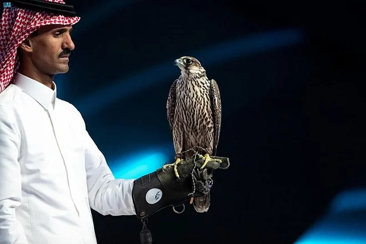 6.5 ملايين ريال مبيعات مزاد نادي الصقور السعودي حتى الليلة الـ 28