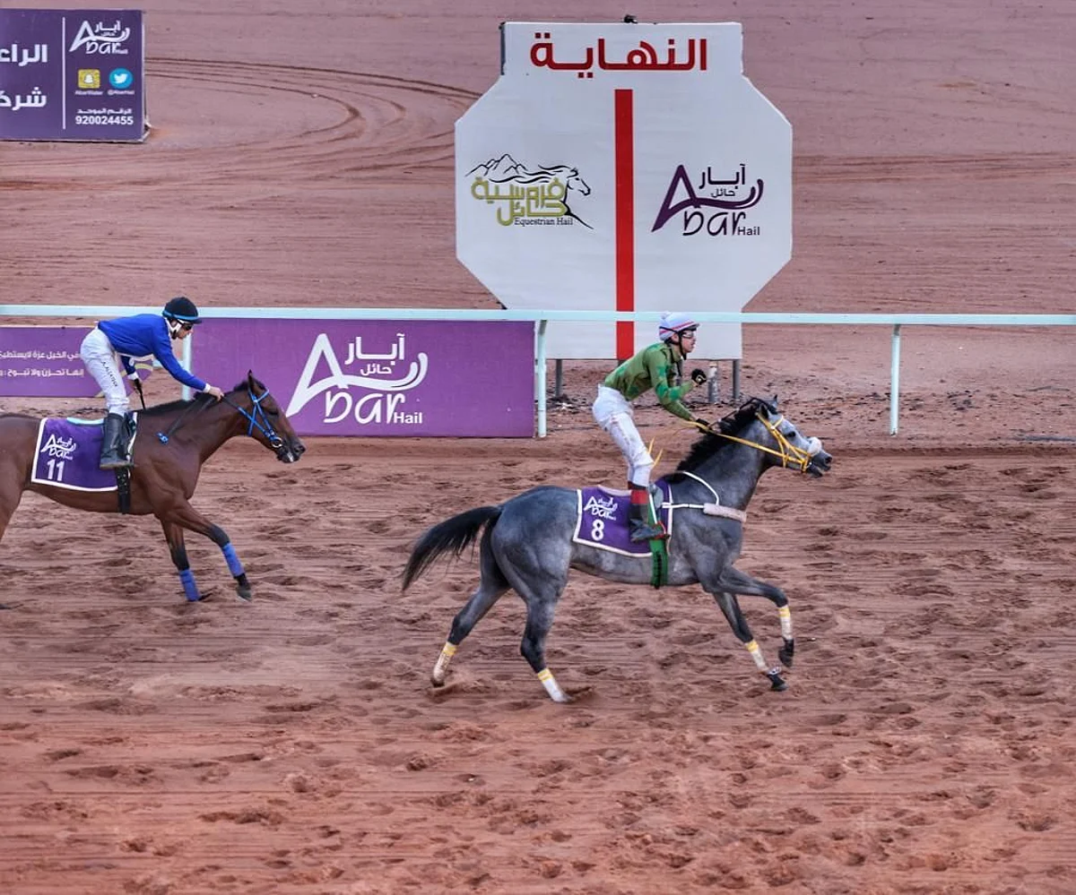 "أنا الجابر" يتوّج بكأس الحفل الرابع في سباق فروسية حائل