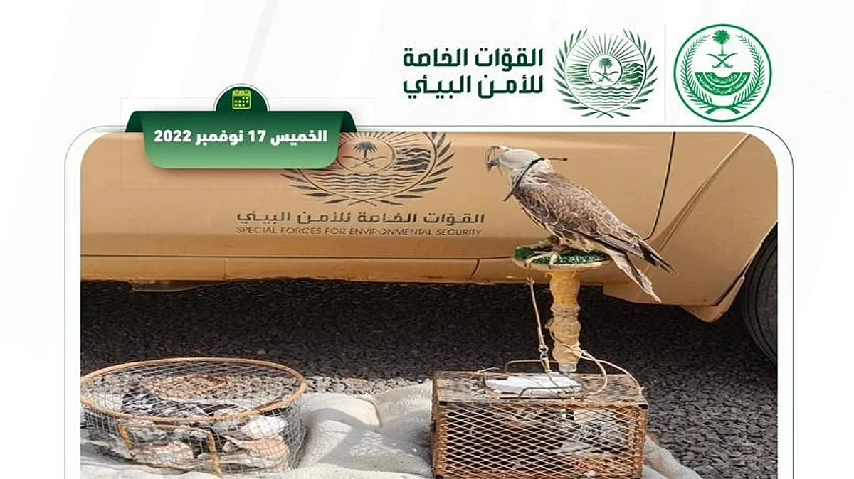 "الأمن البيئي" تضبط 6 مخالفين لدخولهم مناطق محمية والصيد بمحميتي الملك سلمان و"محمد بن سلمان"
