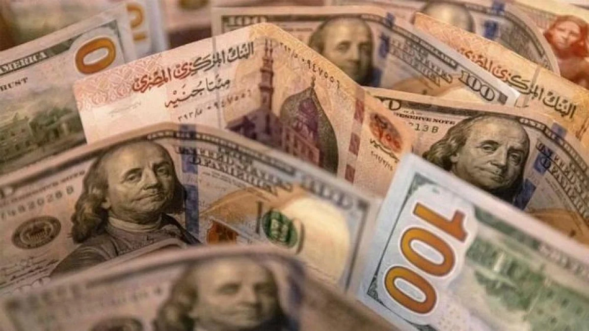 مصر.. الدولار يواصل ارتفاعه مقابل الجنيه
