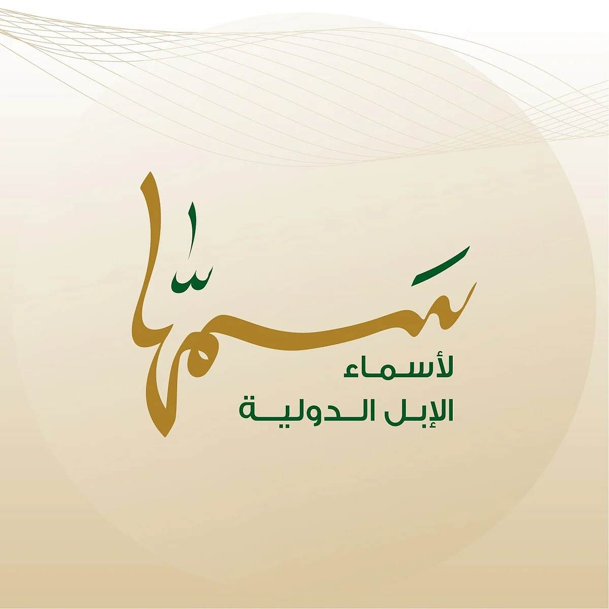 "سمّها".. منصّة لاختيار أسماء الإبل بصبغة دولية.. وهذه هي الشروط