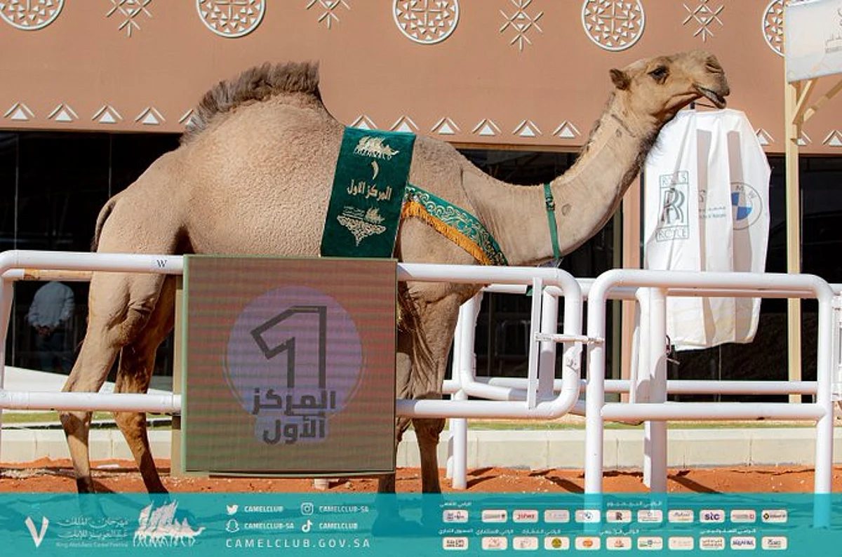 "معالي" تحصد صدارة أشواط الصفر لثلاثة أعوام متتالية