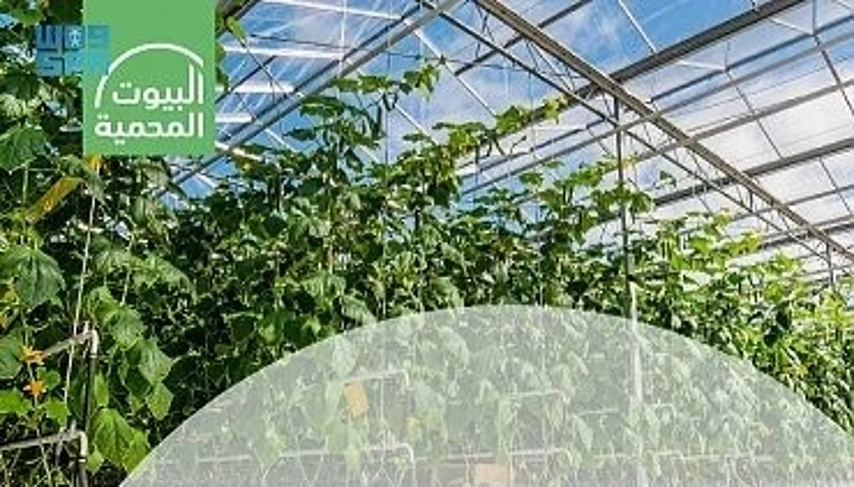 اعتماد زيادة الإنتاج الزراعي في البيوت المحمية بـ4 مليارات ريال حتى 2025