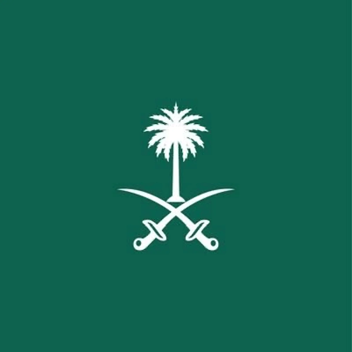 سفارة المملكة في باكستان تدعو السعوديين للحذر وعدم الخروج إلا للضرورة
