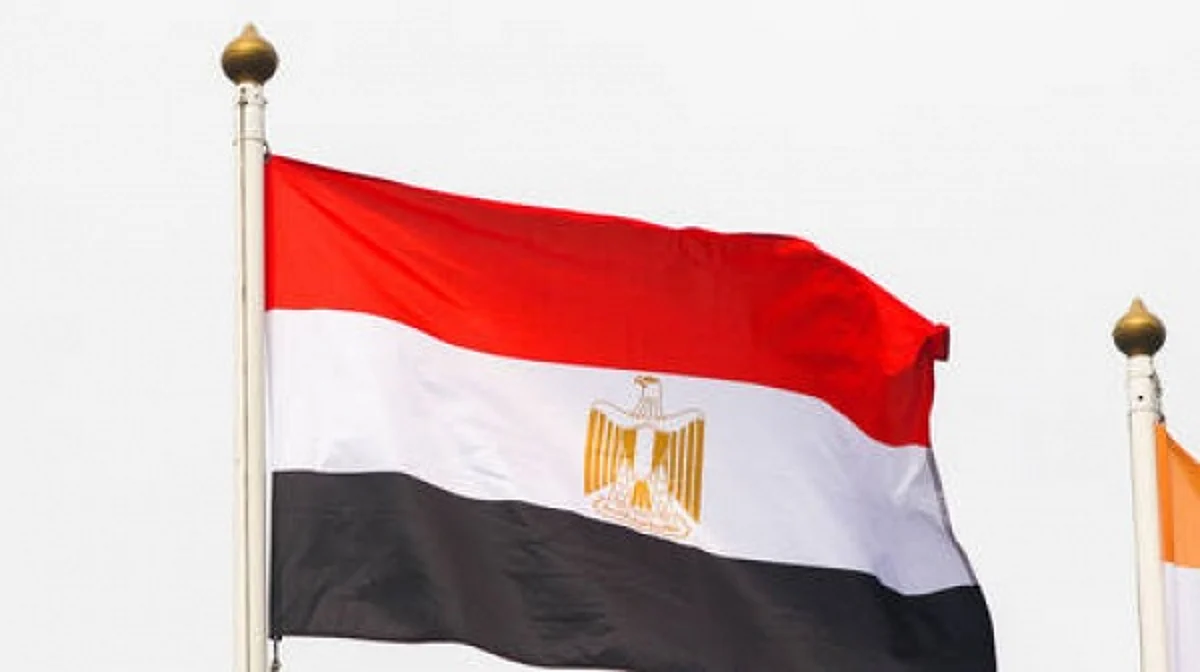 الحكومة المصرية تخطط لـ "العمل من المنزل".. تعرَّف على السبب