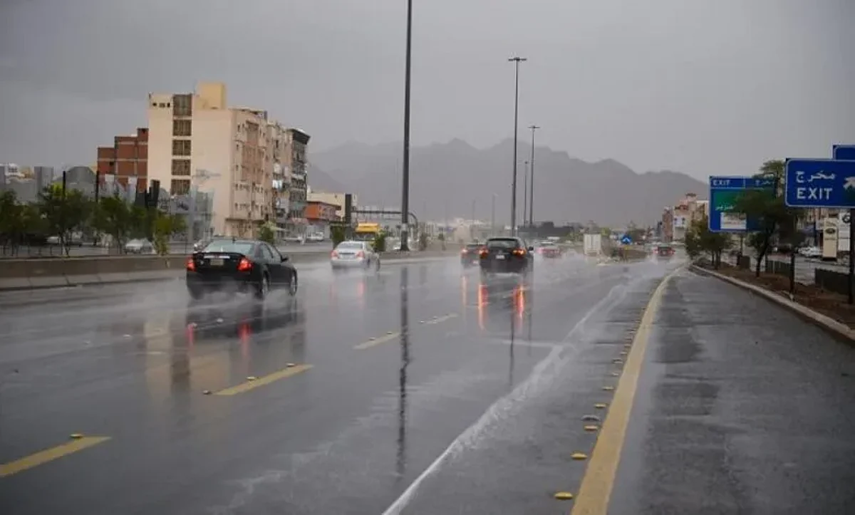 أمطارٌ رعدية وتدنٍ في مدى الرؤية على منطقة عسير