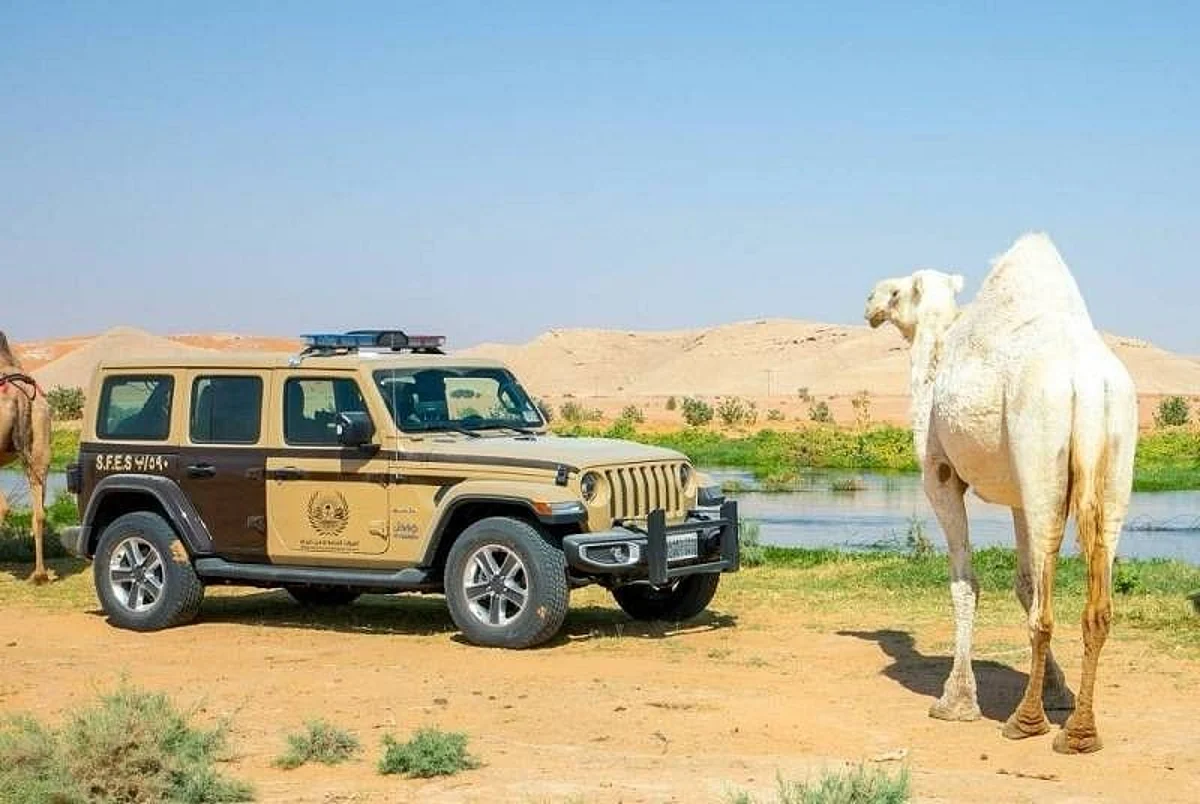 الأمن البيئي يضبط 12 مخالفًا لارتكابهم مخالفات رعي