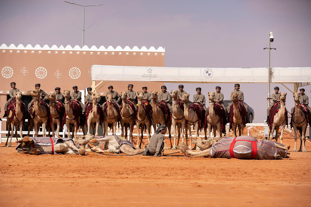 الهجانة السلطانية العمانية تشارك في المهرجان