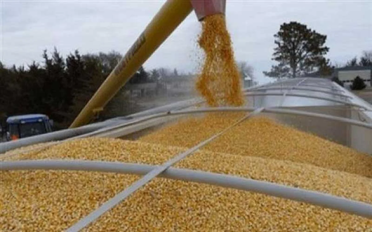 موسكو تُبدي استعدادها لتعويض الحبوب الأوكرانية بالكامل للبلدان المحتاجة