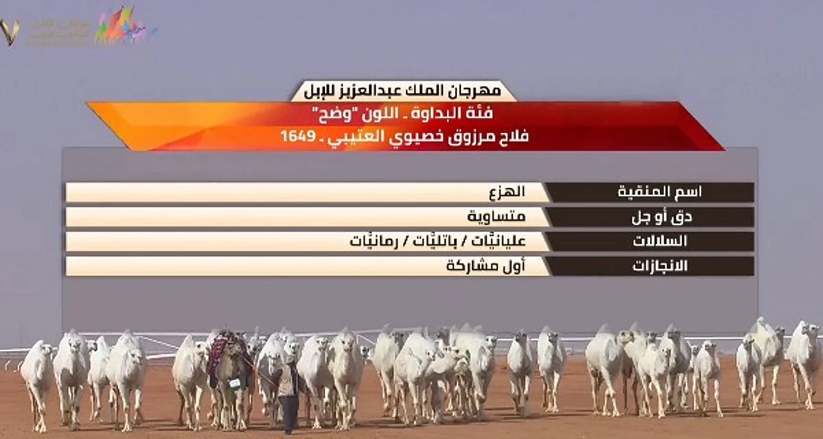 المنقية "الهزع" تتصدر شوط بداوة الوضح في مهرجان الإبل