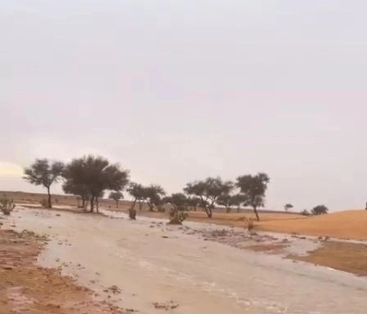 شاهد.. الحالة المطرية تعاود الهطول بغزارة على المجمعة والغاط والزلفي