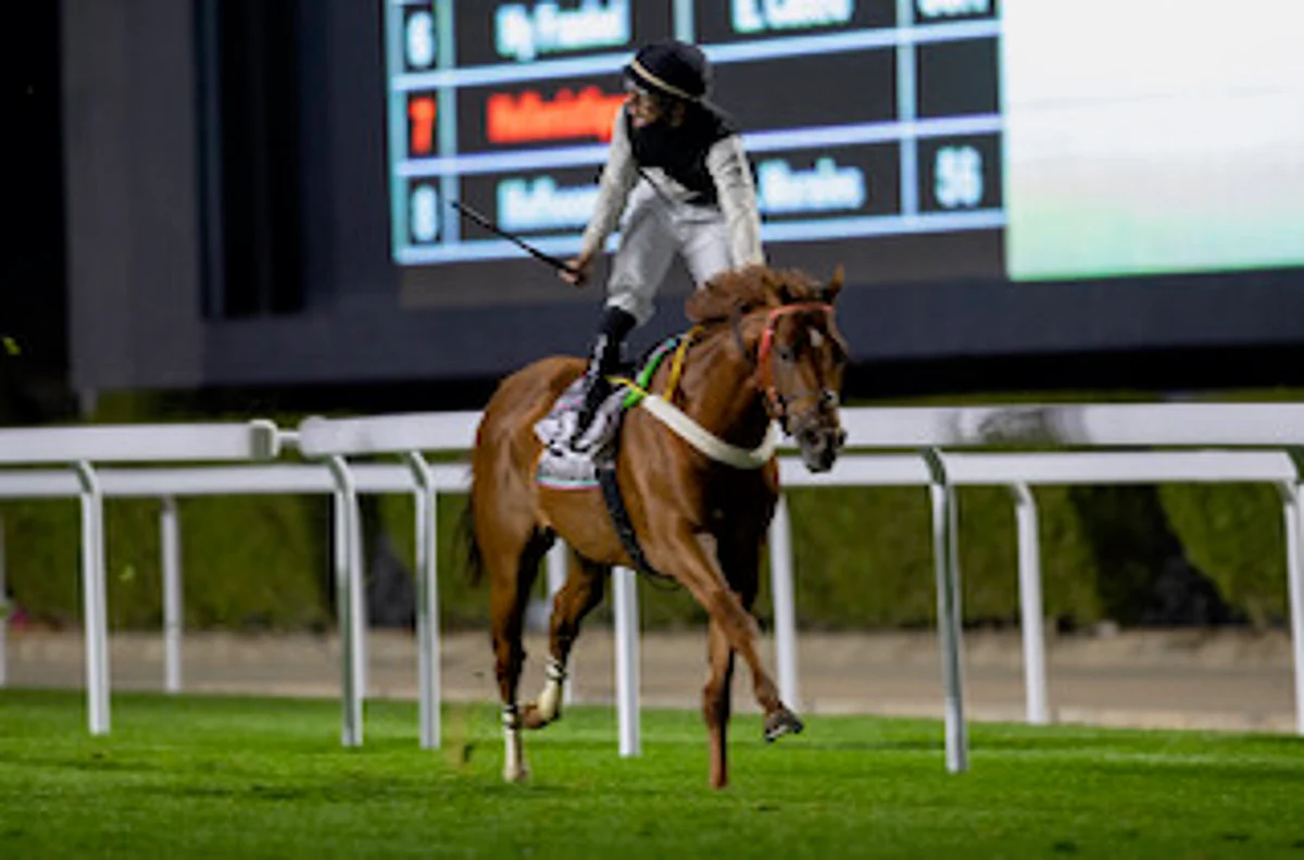نادي سباقات الخيل يعلن القائمة النهائية للمشاركين بالنسخة الثانية لـ"كأس خالد"