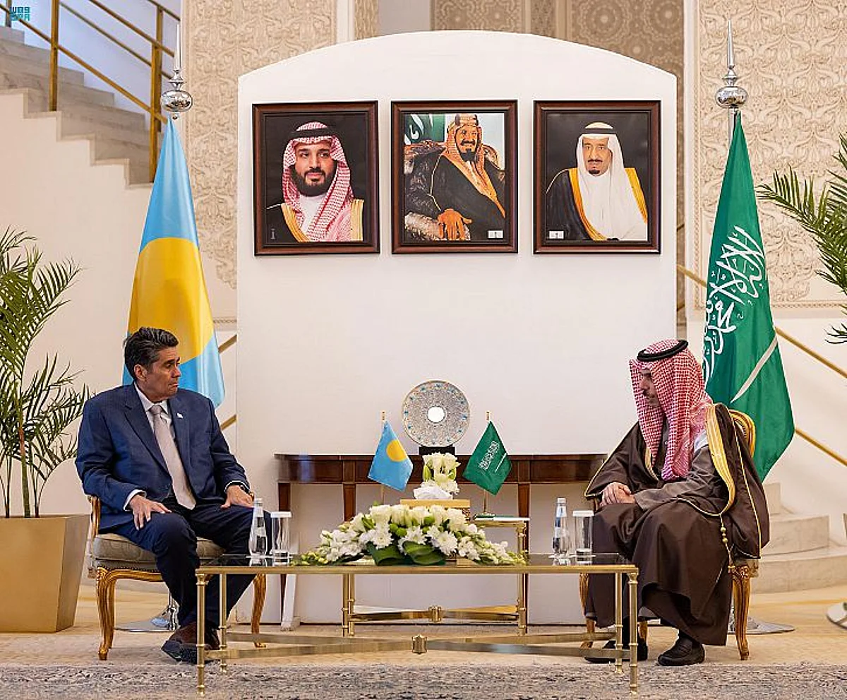 وزير الخارجية يبحث التطورات الإقليمية والدولية مع رئيس بالاو