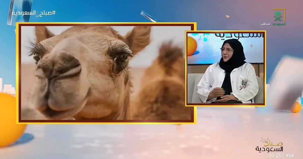 أخصائية تغذية: حليب الإبل هو الأقرب لحليب الأم.. لهذه الأسباب