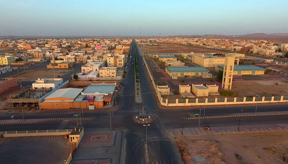 800 وظيفة والشركة بعيدة والملفات بـ"مغسلة الملابس".. حدث في تيماء