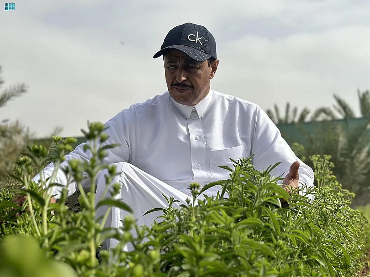 حمد منصور آل عباس