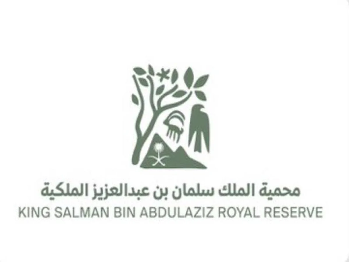 رصد أعداد كبيرة من الطيور الجارحة في محمية الملك سلمان بن عبدالعزيز الملكية