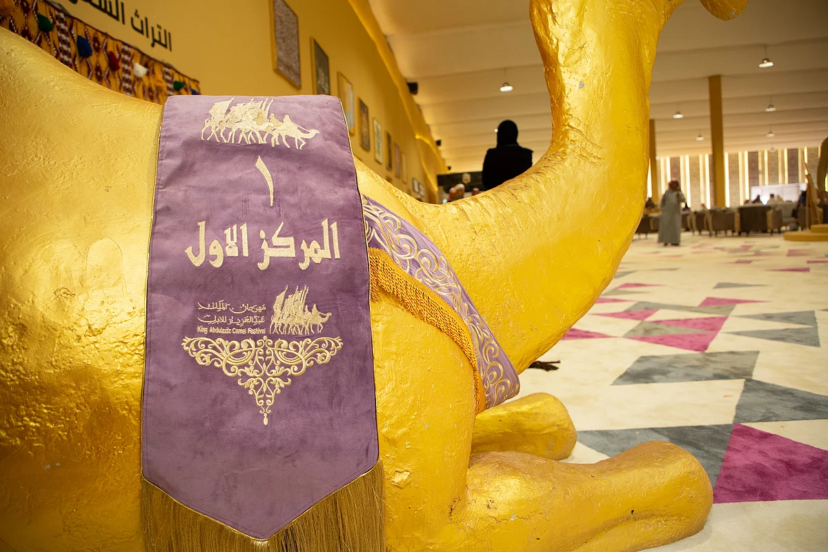 شوط الأميرة نورة النسائي .. منافسة مشتعلة بين المشاركات لخط الوشاح البنفسجي بمهرجان الإبل