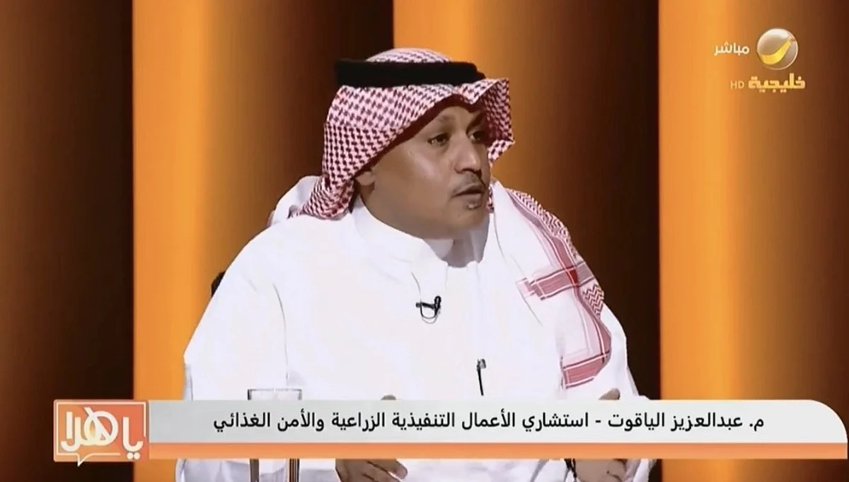 "الياقوت": نصف راتب الموظف يذهب لسلة الأغذية.. ورصدنا زيادة بأسعار 500 منتج أساسي