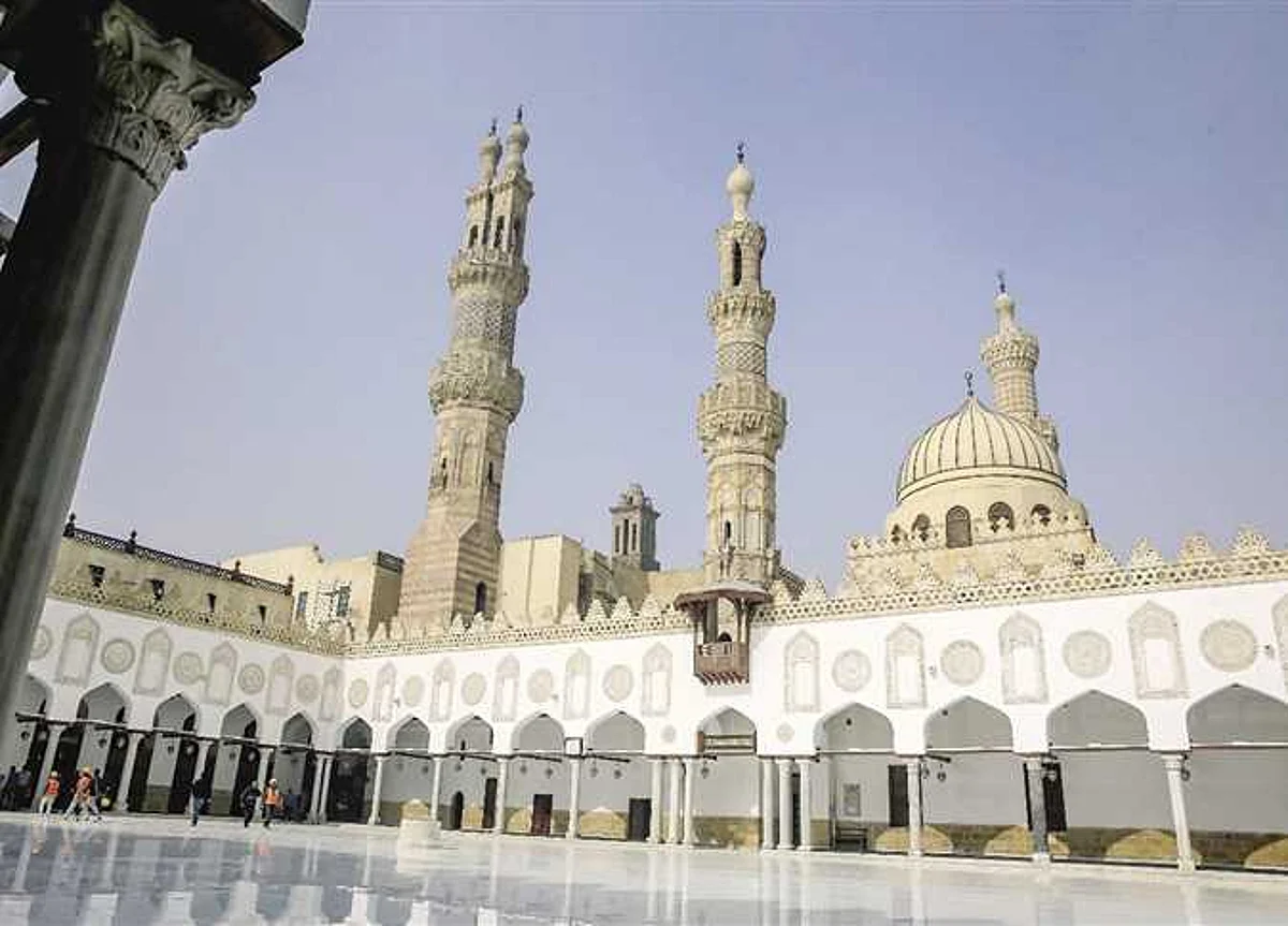 مصر.. الأزهر يطالب بمقاطعة منتجات هولندا والسويد