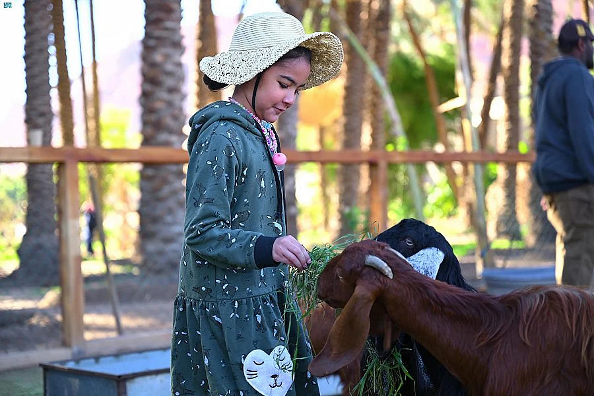 "المَزارع صديقة البيئة".. تجربة غنية لزوار الباحة تُعَرّفهم بـ"حياة الفلاح اليومية"