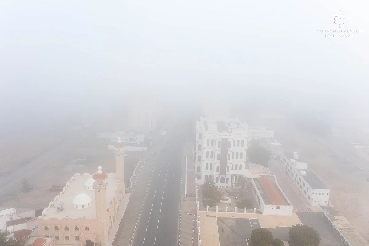 الضباب يغطي سماء الطائف