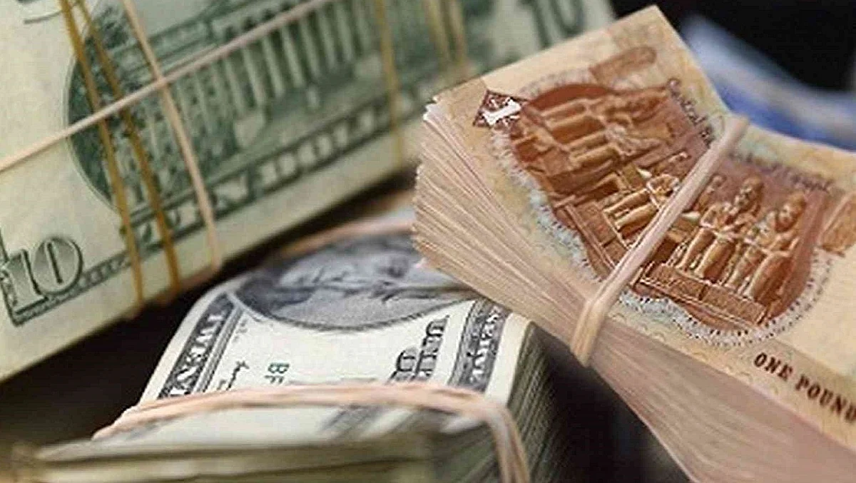 رغم إصدار شهادات سنوية بعائد 25%.. الجنيه المصري يسجل أكبر تراجع منذ أكتوبر