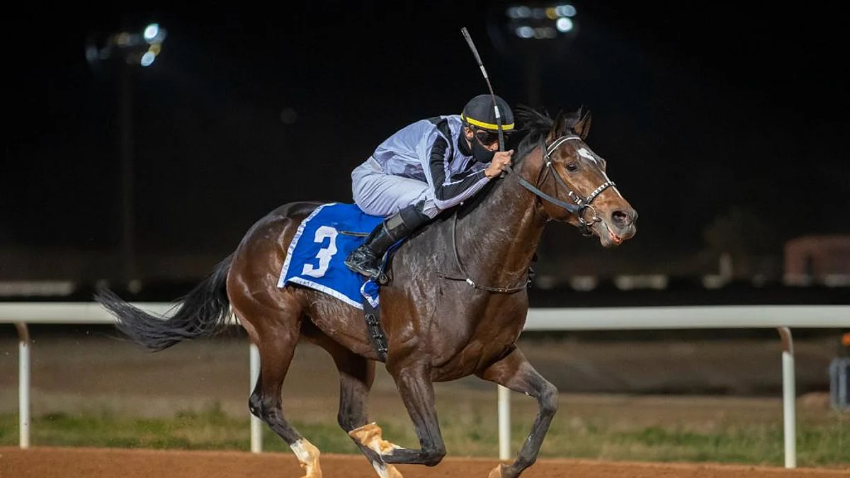 سباقات الخيل العربية