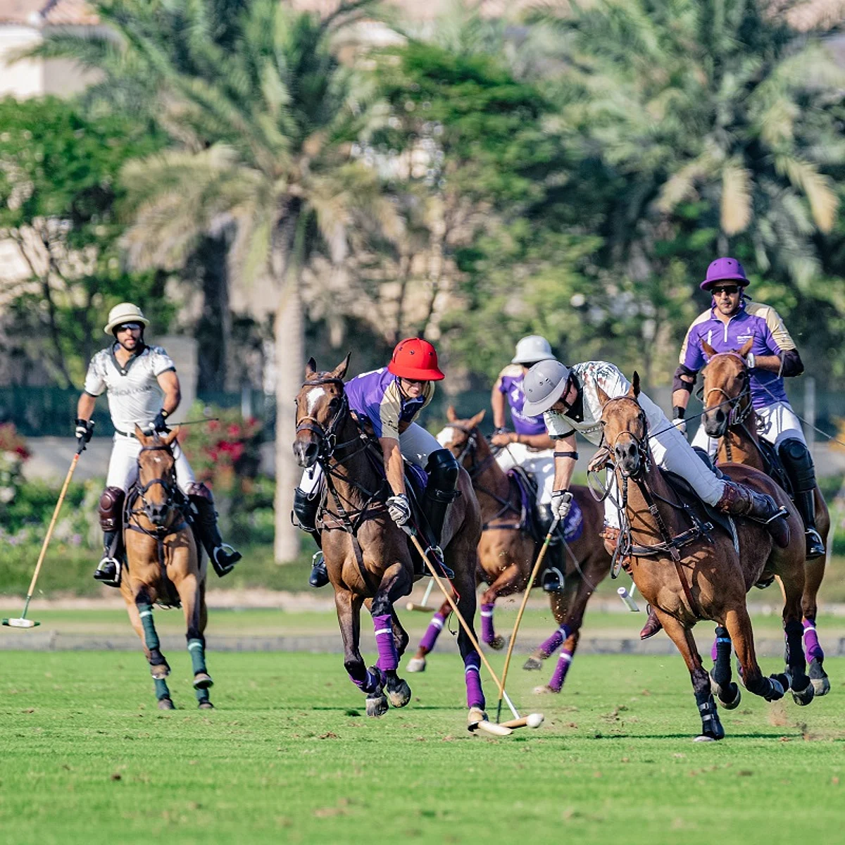 بمشاركة 9 فرق عالمية.. فريقان سعوديان في نهائي كأس اتحاد البولو
