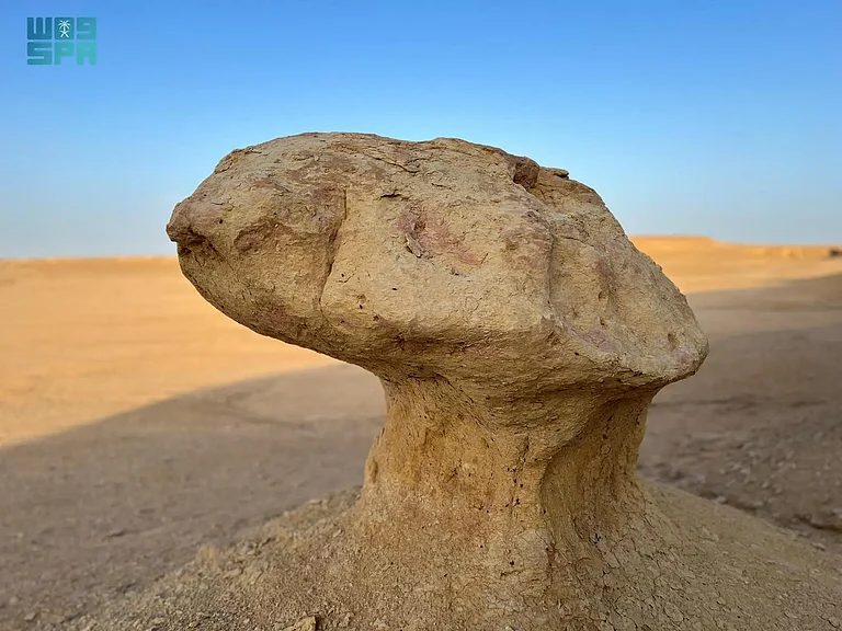 نقره لعرض الصورة في صفحة مستقلة
