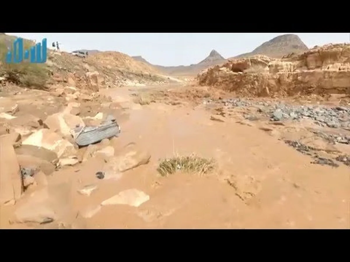 بالفيديو.. هكذا بدت براري تبوك بعد هطول الأمطار