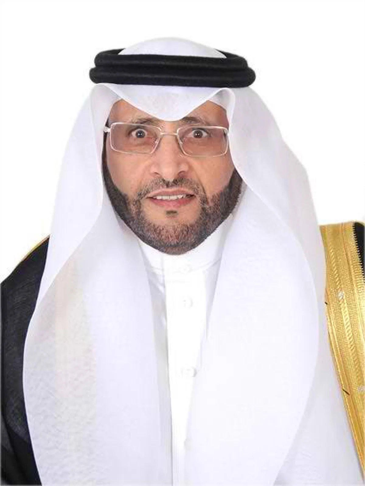 "الملفي": الشعب السعودي يستذكر إنجازات عامين في ذكرى البيعة