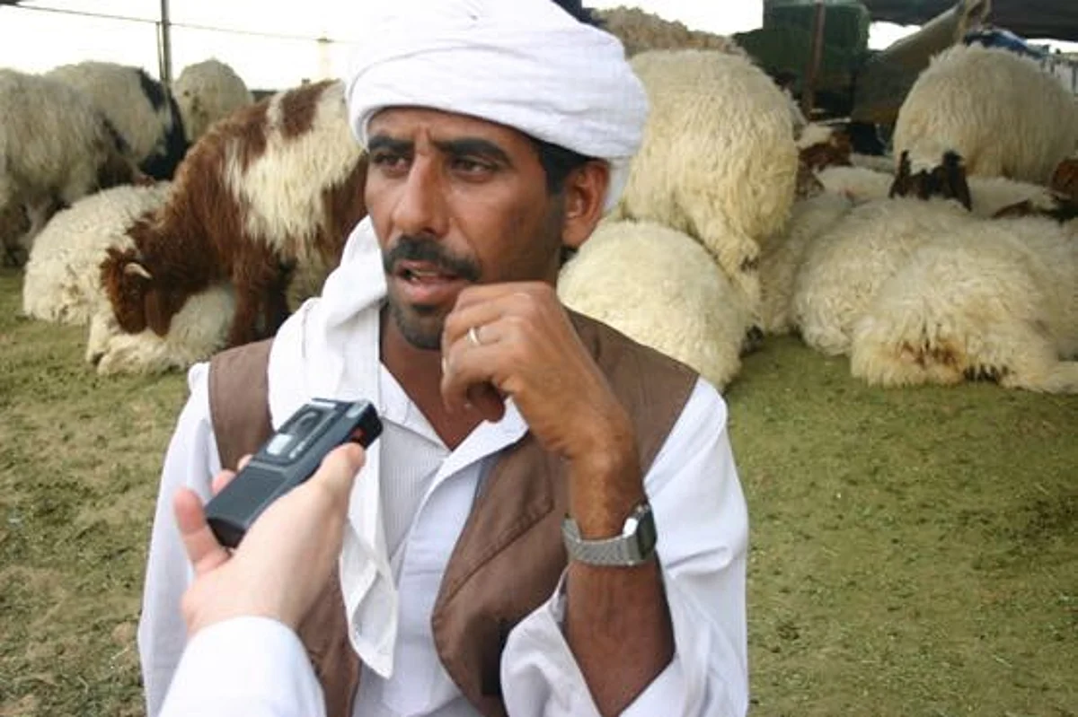 أسعار المواشي ترتفع بالرياض.. "النعيمي" 900 ريال وإقبال على "السواكني"