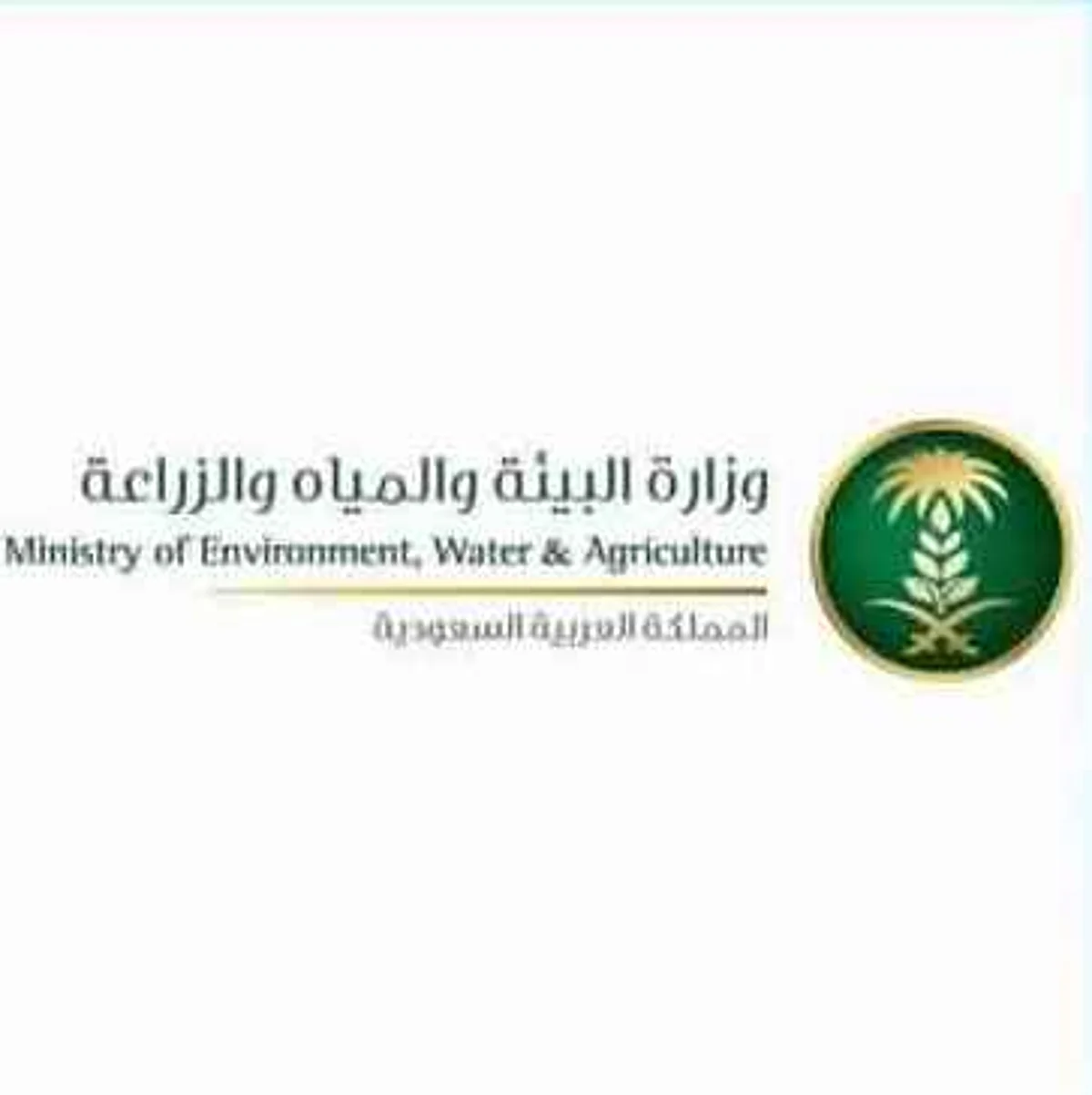 "البيئة": التخلص من جميع الطيور وتطهير سوق العزيزية بالرياض