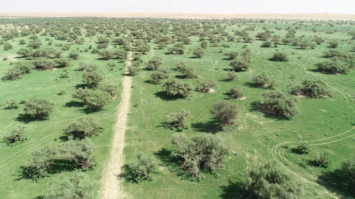 شاهد.. "الكاميرا الطائرة" ترصد أجواء الربيع في روضة التنهات