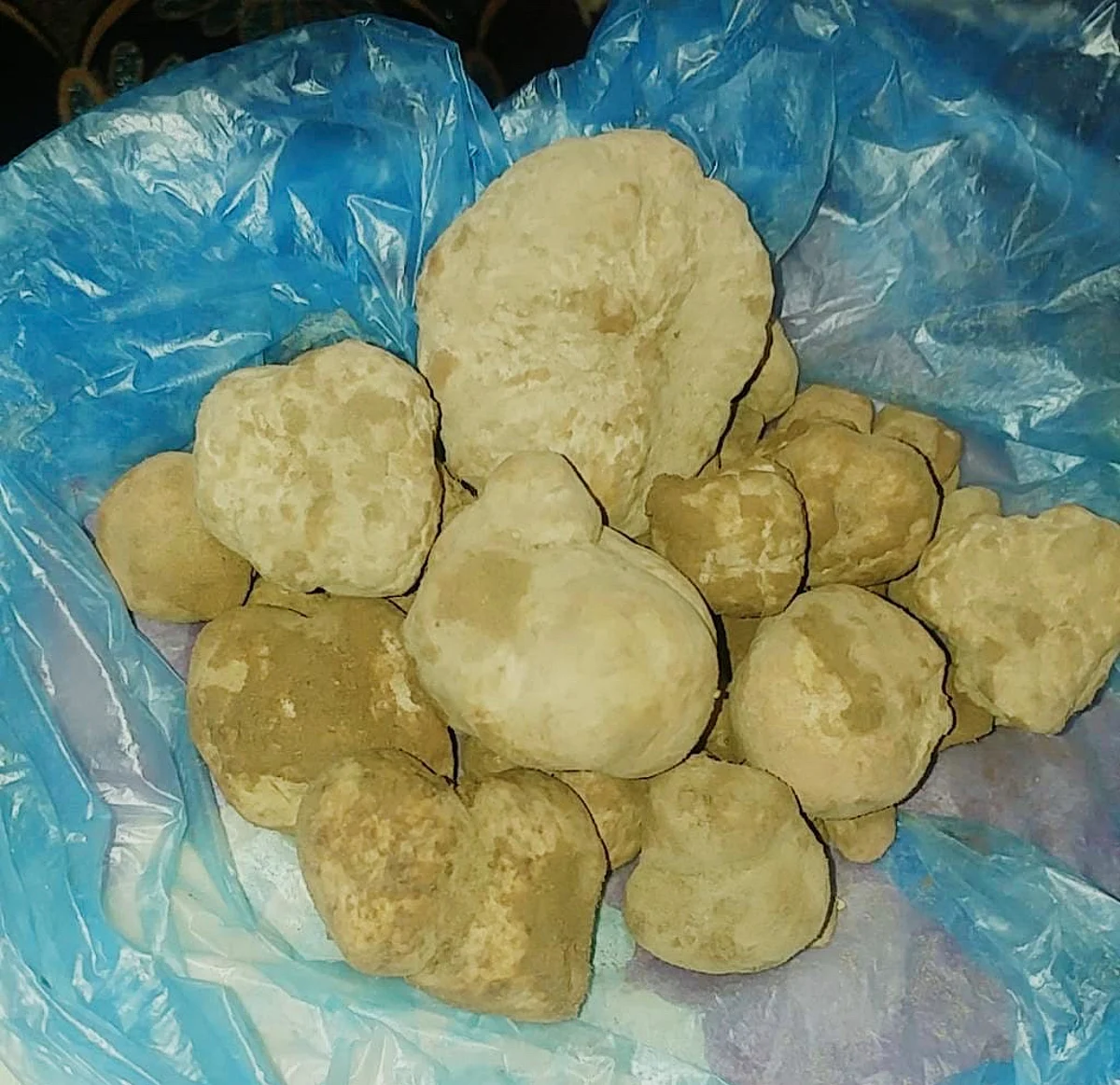 شاهد.. بوادر "الكمأ" تظهر ببراري "نصاب رفحاء" وتجتذب المتنزهين