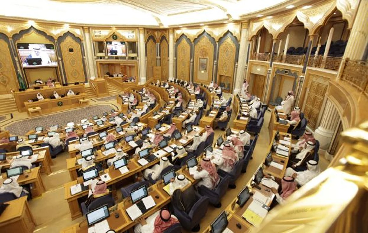استناداً إلى ٨ مرئيات.. "الولاية المالية" على القاصر تنتهي بعمر ١٨ عاماً