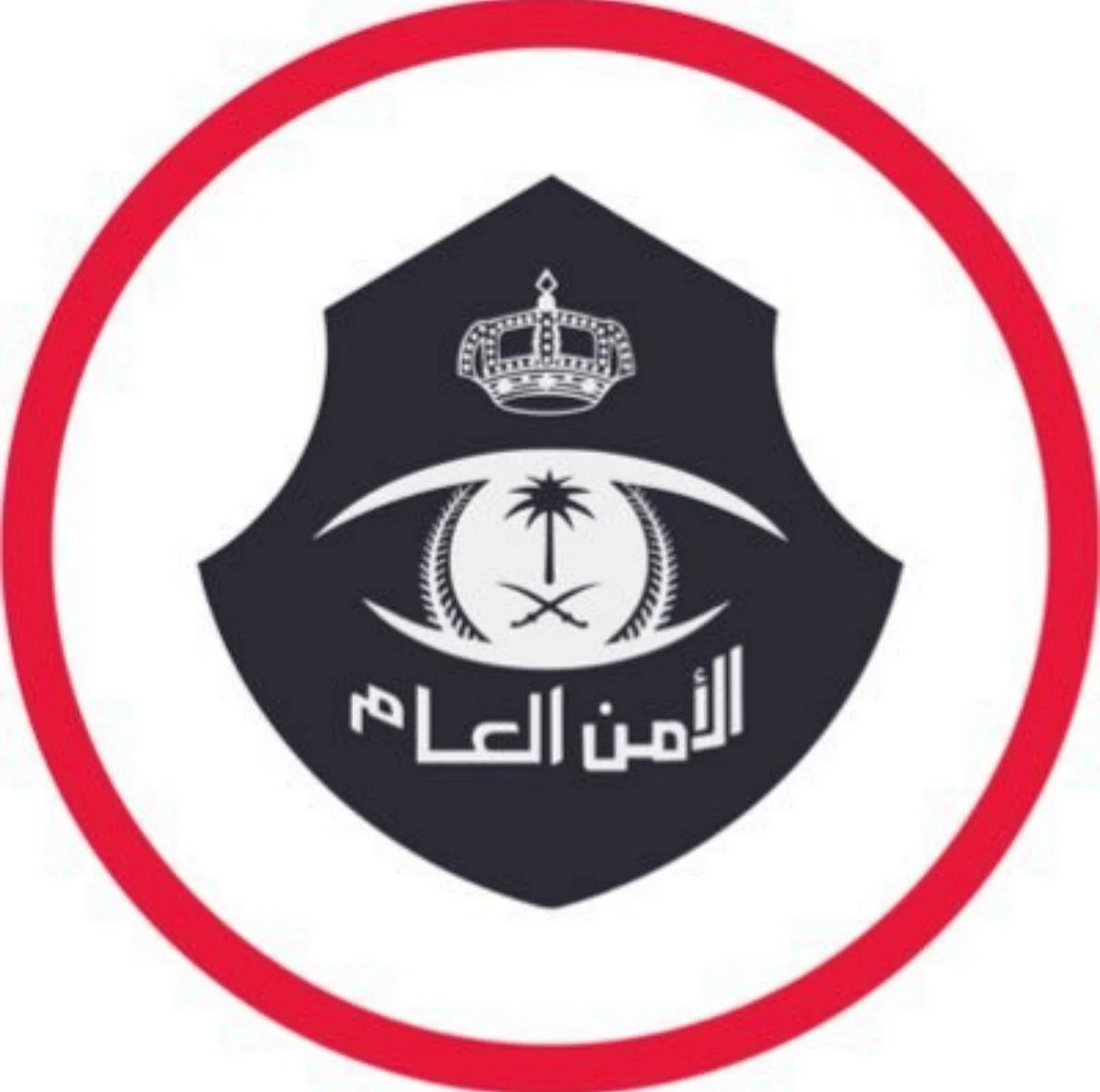 في مقطع فيديو.. "الأمن العام" يستعرض عددًا من الجرائم