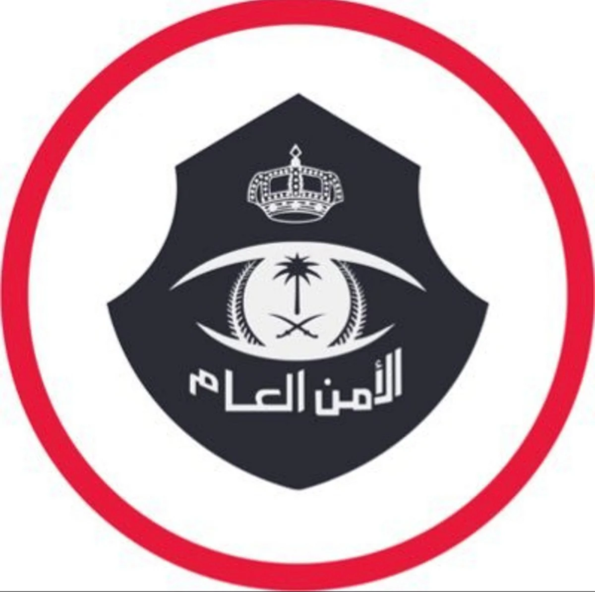 بالفيديو .. الأمن العام يستعرض عددًا من الجرائم والقبض على مرتكبيها
