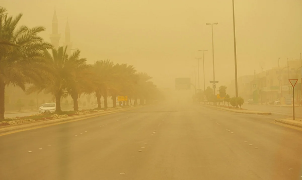 "الأرصاد": رياح وأتربة على المدينة المنورة
