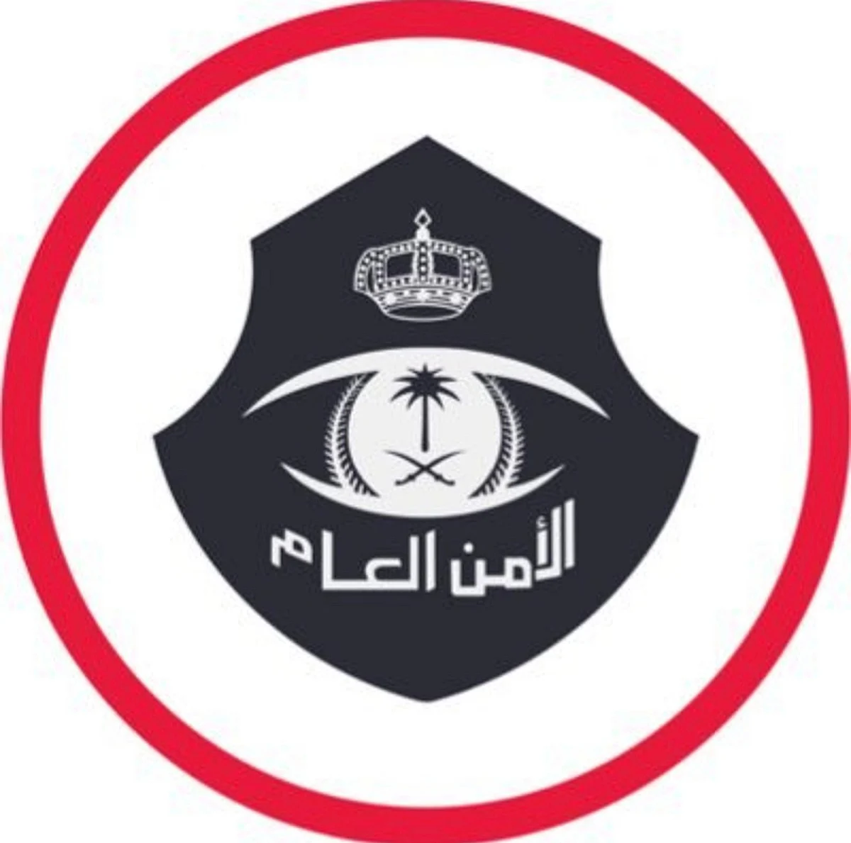 بالفيديو .. "الأمن العام" يستعرض عددًا من الجرائم أُلقي القبض على مرتكبيها