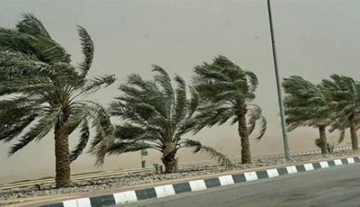 "الأرصاد" نشاط للرياح المثيرة للأتربة يحد من مدى الرؤية على الجوف والشمالية وحائل والقصيم