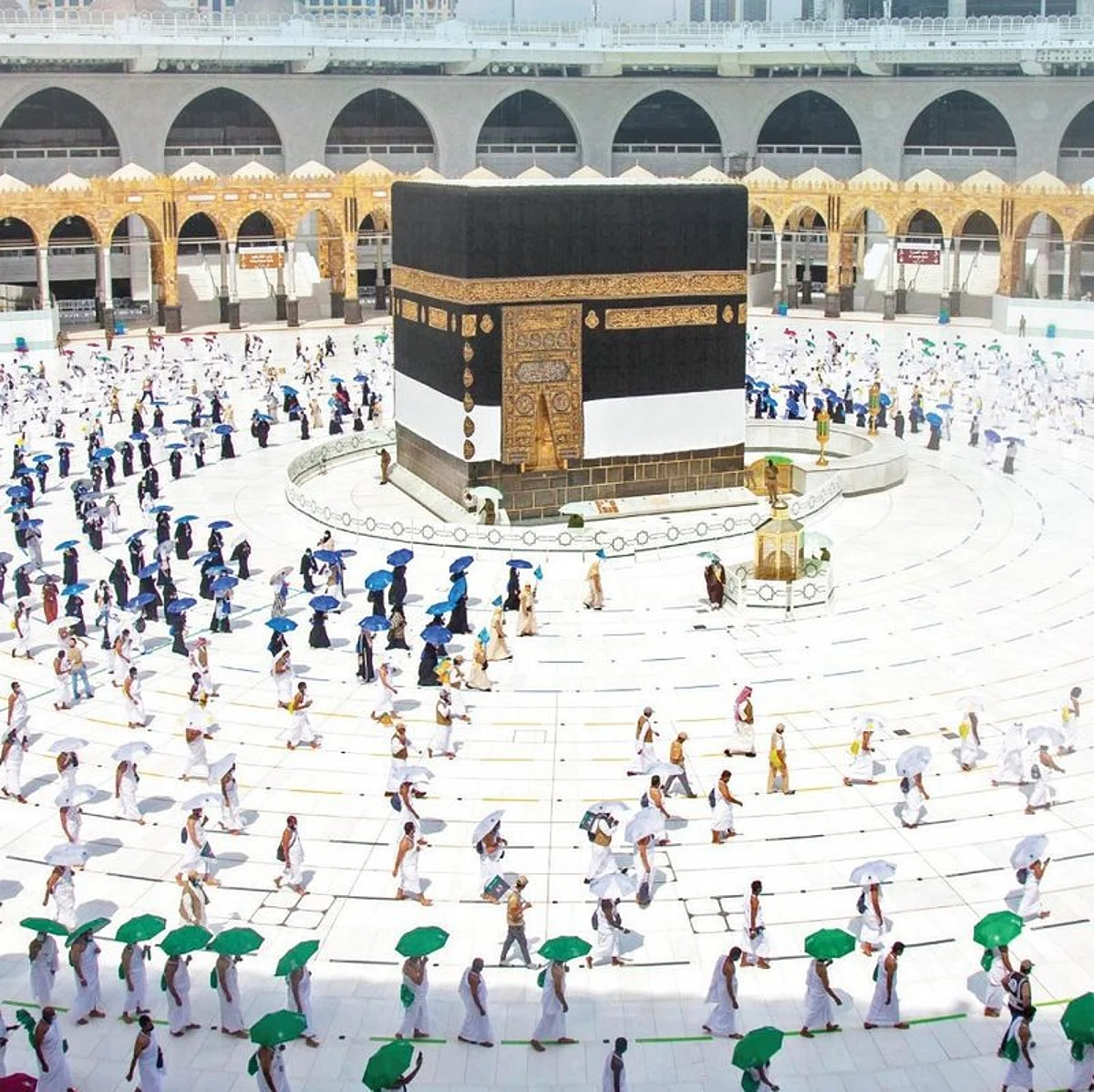 موجز "سبق": "نزاهة" تواصل ضرب الفساد.. وتفاصيل جديدة عن التخصيص.. وتأييد دولي لقرار المملكة قصر الحج