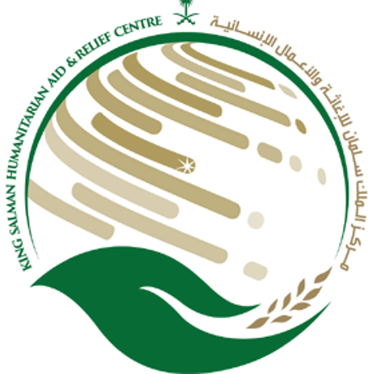 10 أطنان أدوية.. دفعة جديدة من مساعدات "سلمان للإغاثة" الطبية لليمن
