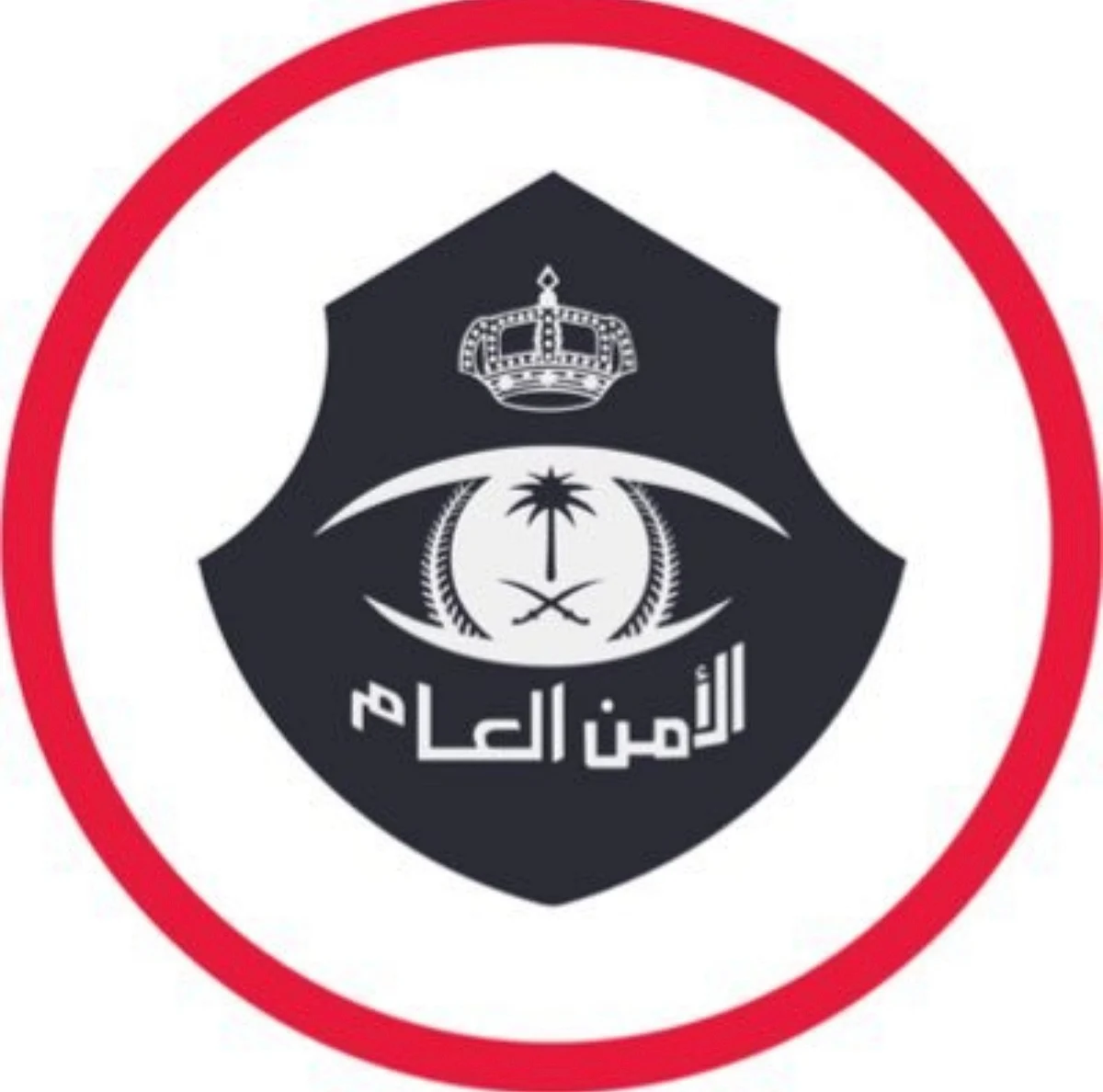 شاهد.. "الأمن العام" يستعرض عمليات القبض على مرتكبي عددٍ من الجرائم