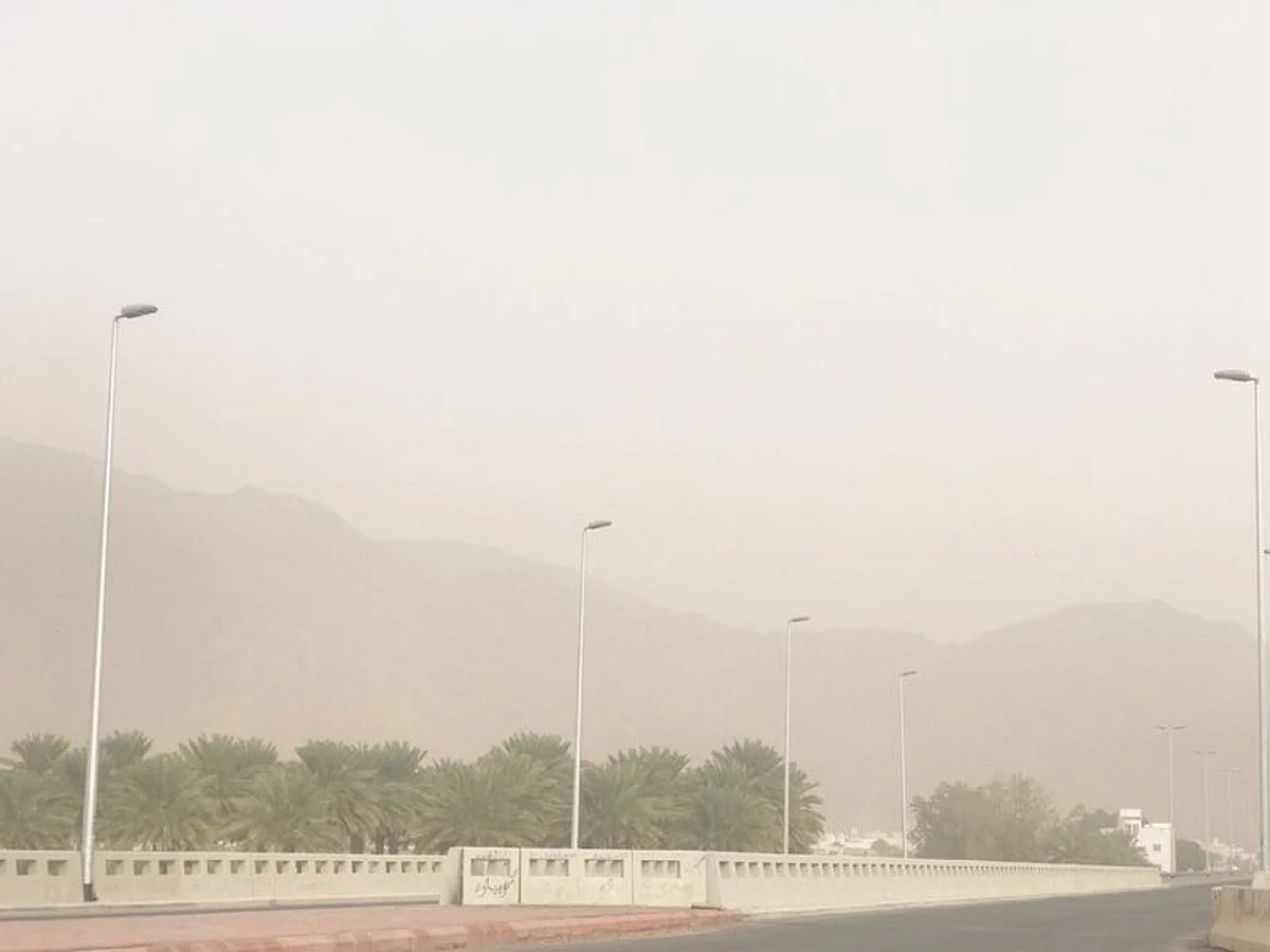 رياح نشطة وسحب رعدية وتدنٍّ في مدى الرؤية على منطقة المدينة المنورة