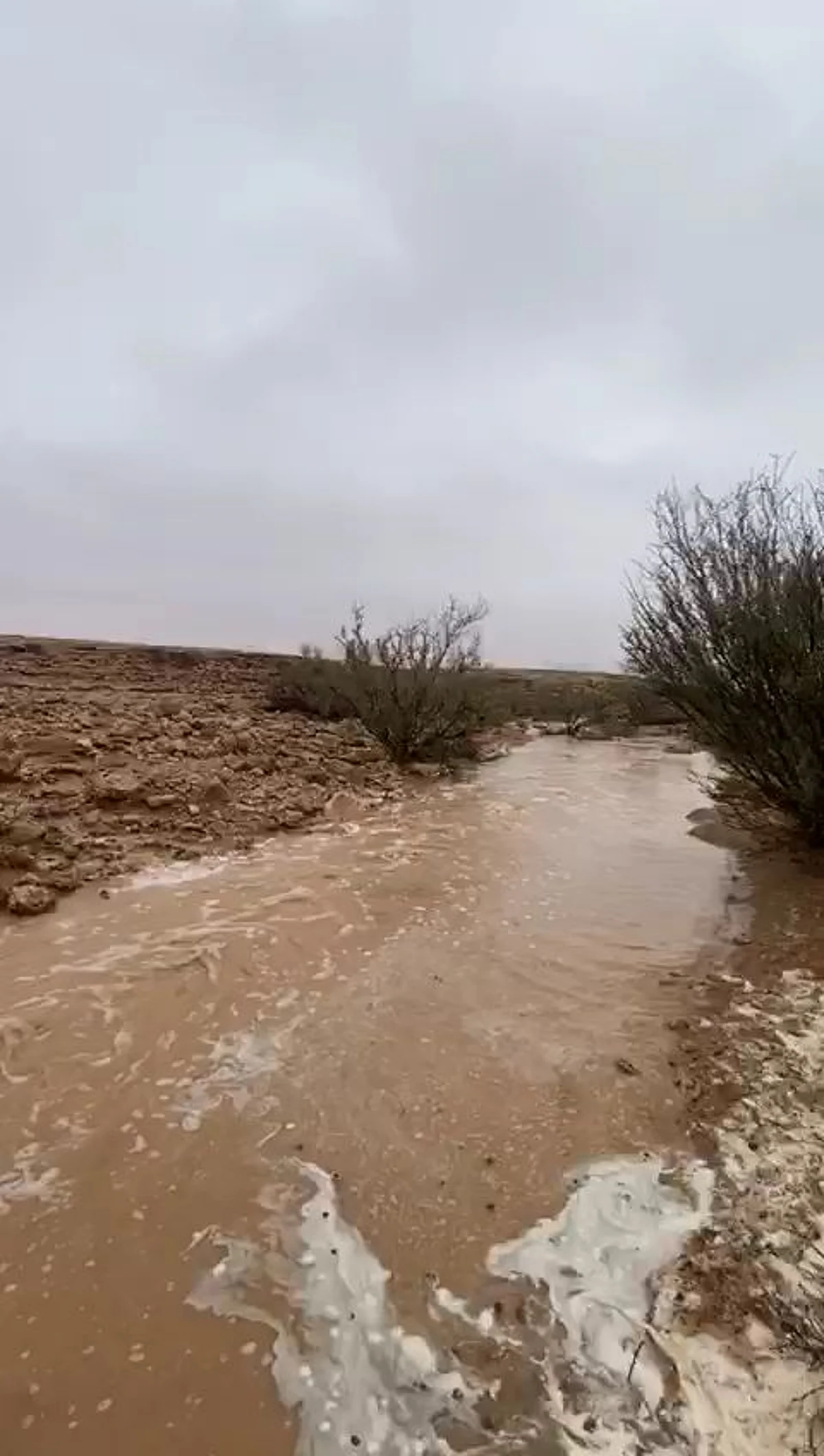 شاهد.. "أمطار شمال الرياض" تسيل أودية حريملاء ومرات والسماء ملبدة