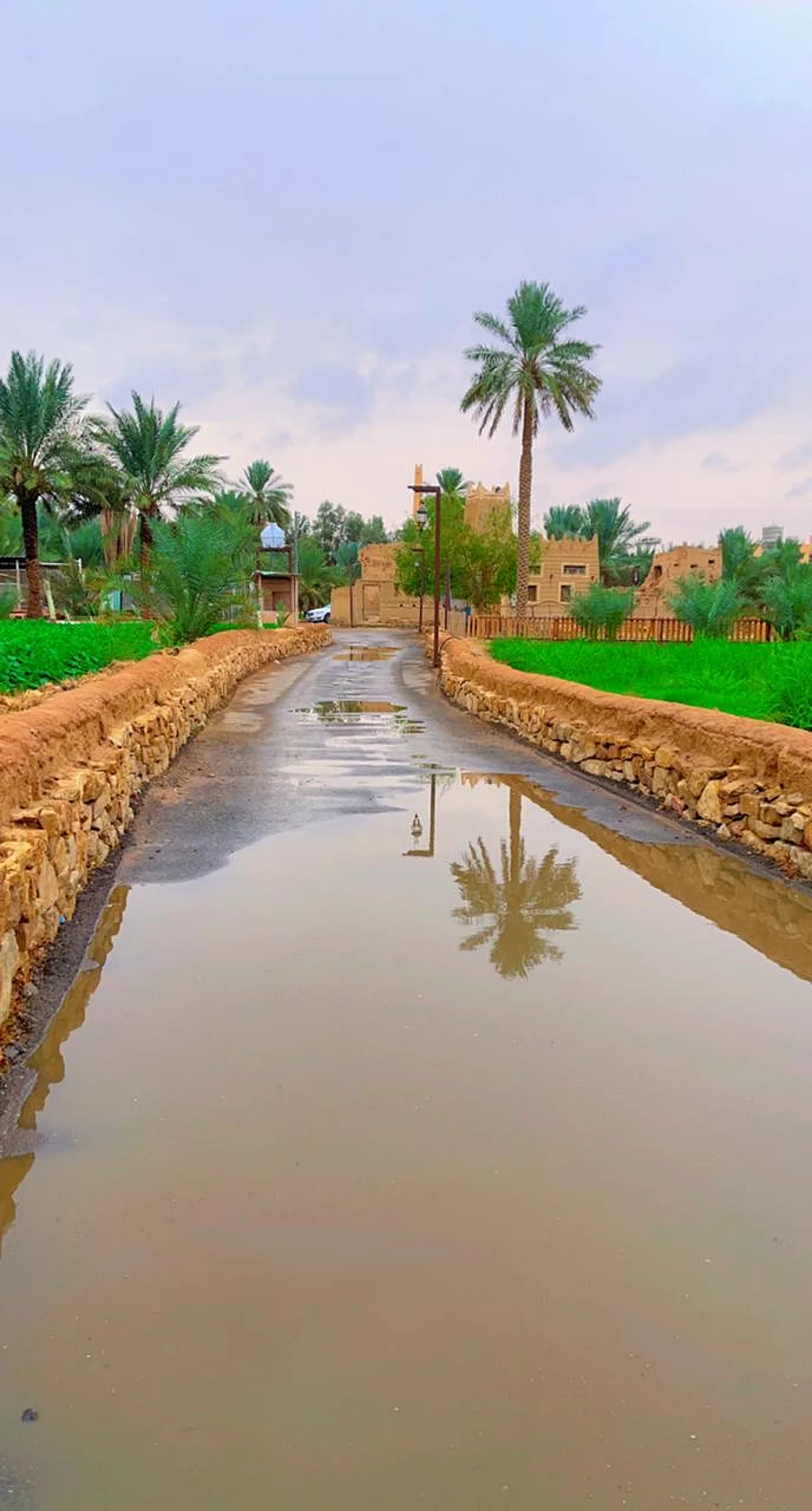 القصيم تعيش أجواء ماطرة عمَّت محافظاتها.. ويُتوقَّع استمرارها