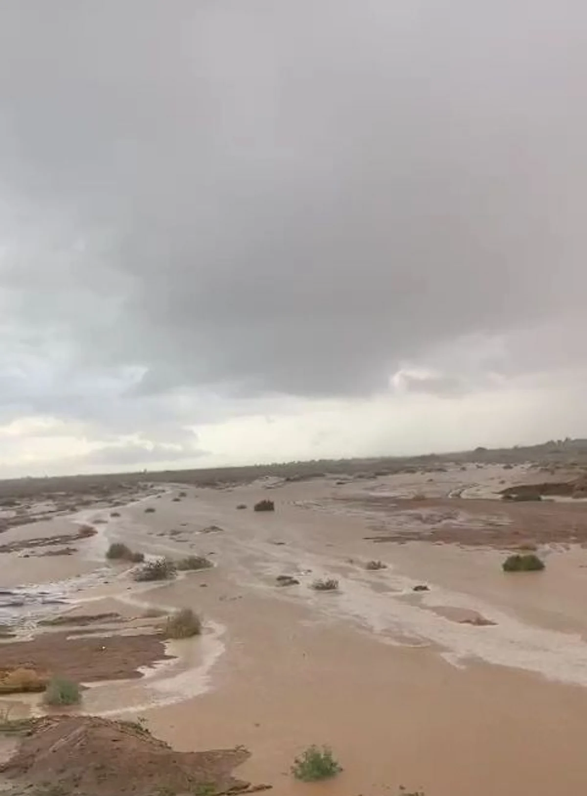 شاهد.. أمطار متواصلة منذ الصباح تُجري عددًا من الأودية في محافظات شمال الرياض